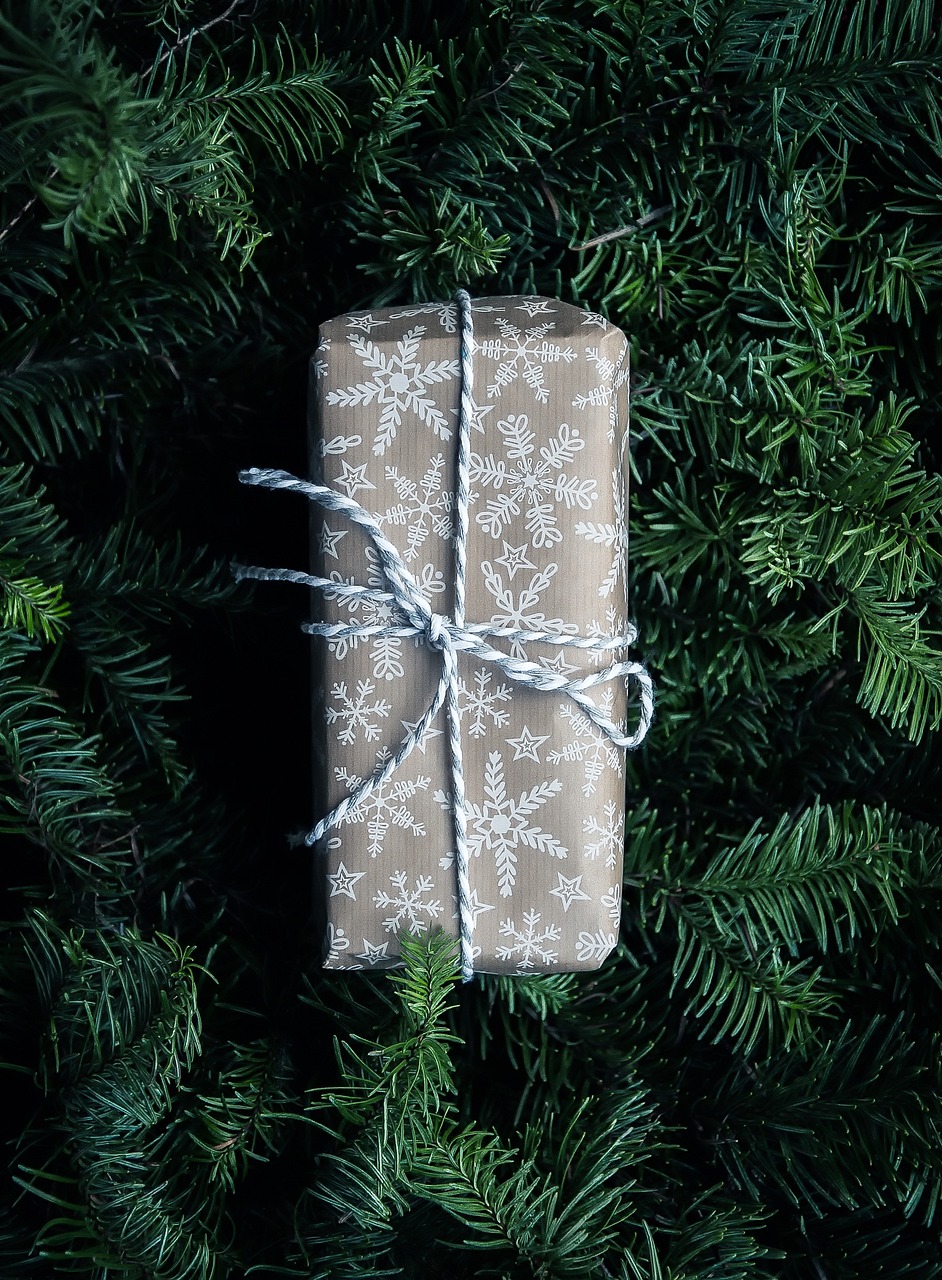 Home christmas, holiday, nature, tree, package, gift, surprise, wrapping, paper, bow, twine, season, hdr